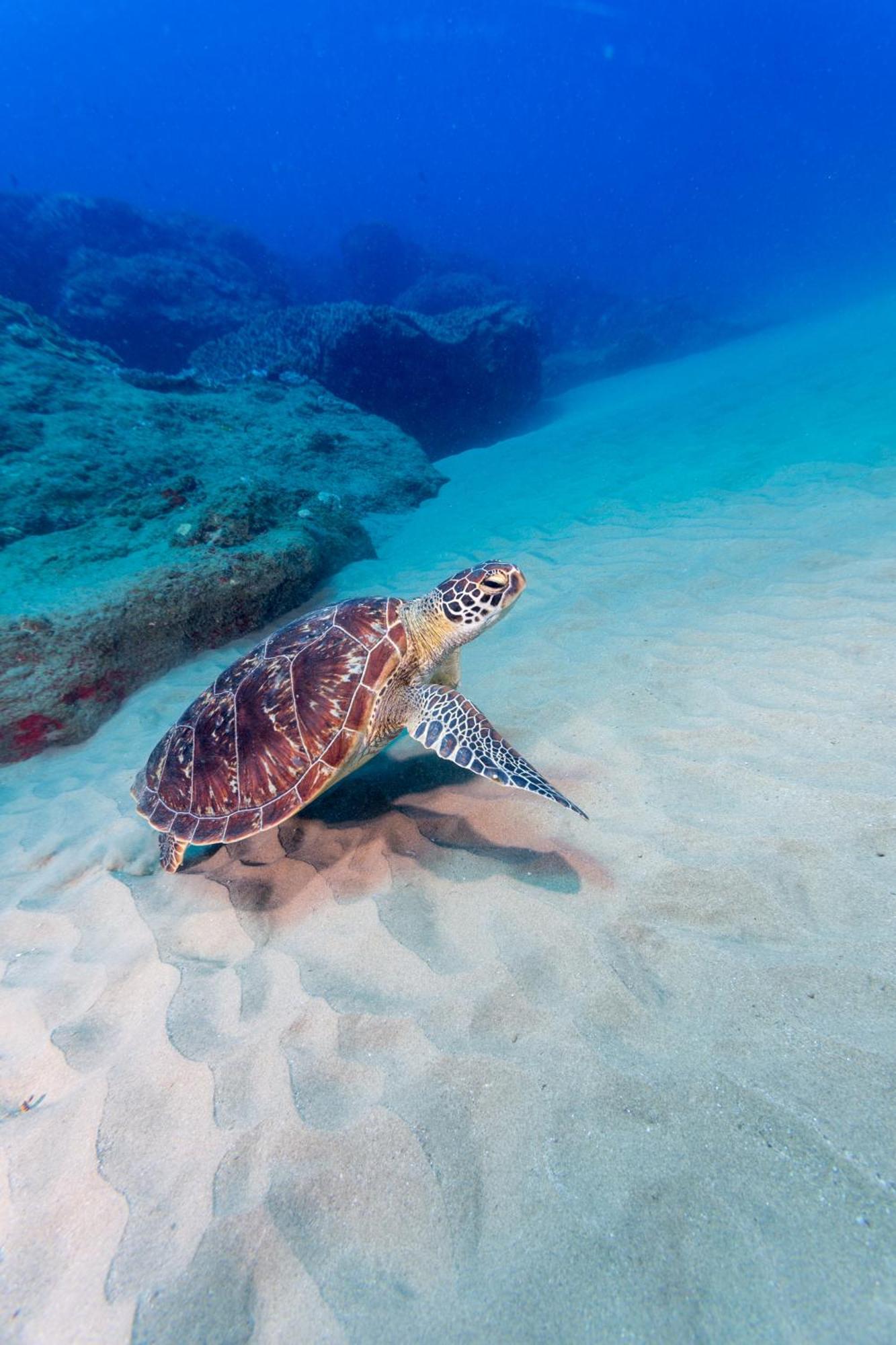 Sodwana Bay Lodge Dive & Fishing Resort Εξωτερικό φωτογραφία