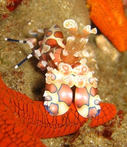 Sodwana Bay Lodge Dive & Fishing Resort Εξωτερικό φωτογραφία