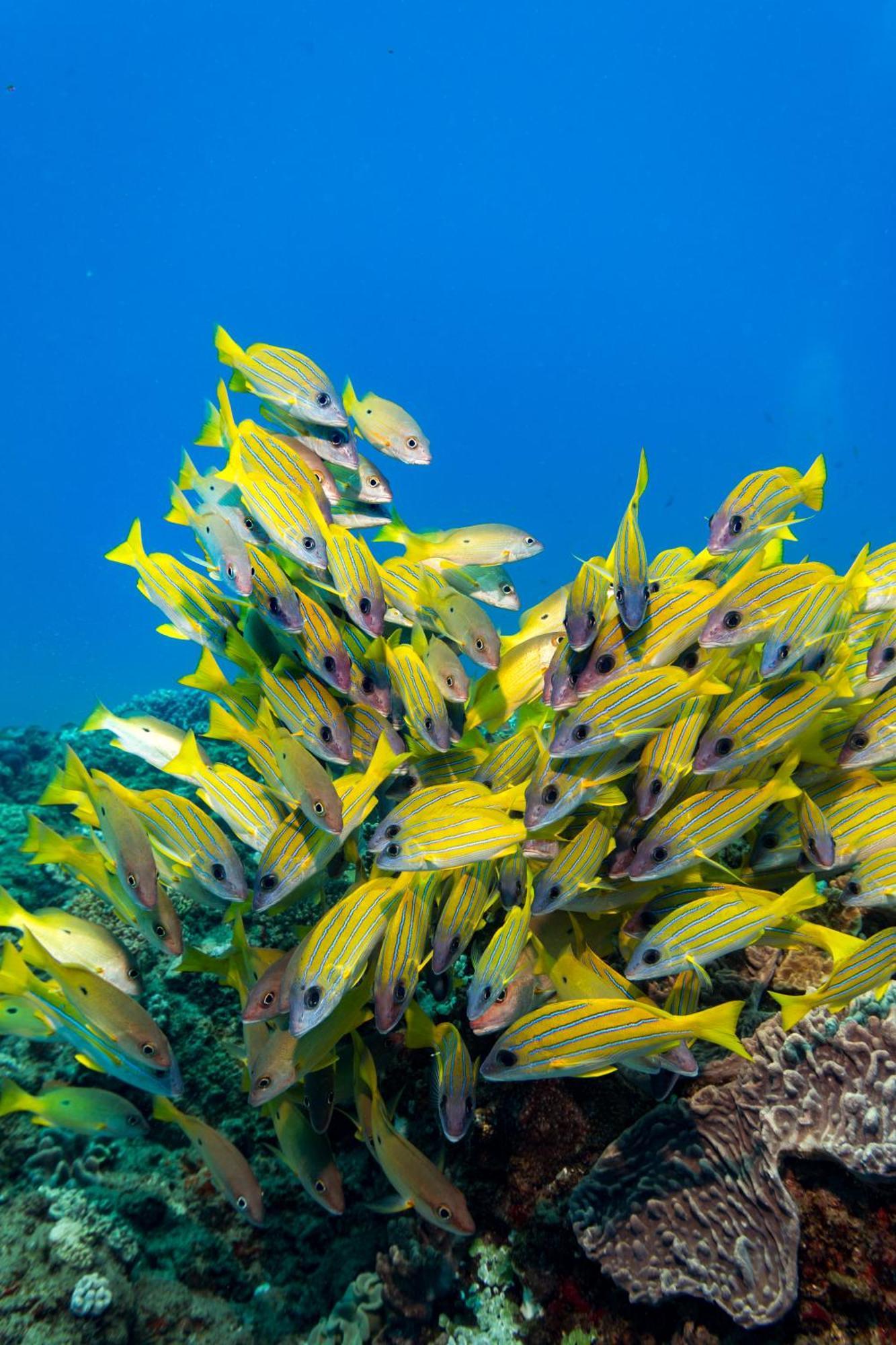 Sodwana Bay Lodge Dive & Fishing Resort Εξωτερικό φωτογραφία