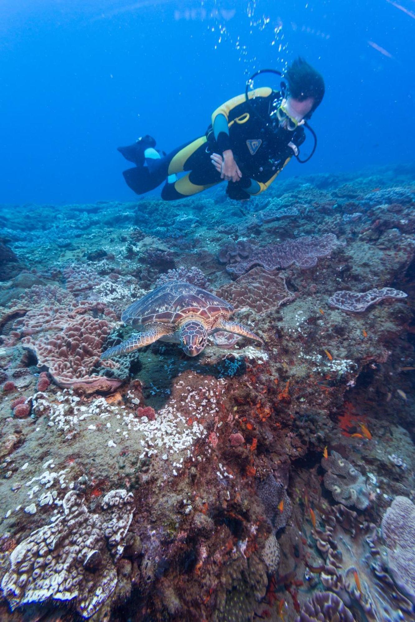 Sodwana Bay Lodge Dive & Fishing Resort Εξωτερικό φωτογραφία